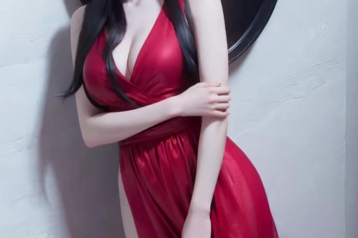 西红柿部落 西红柿部落